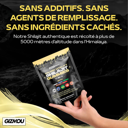 Shilajit doré biologique