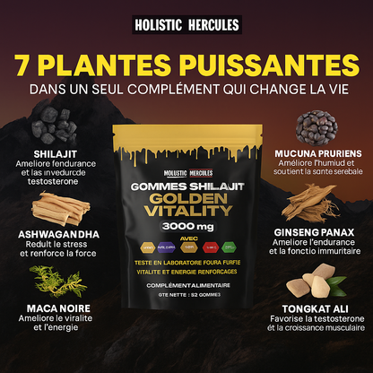 Shilajit doré biologique